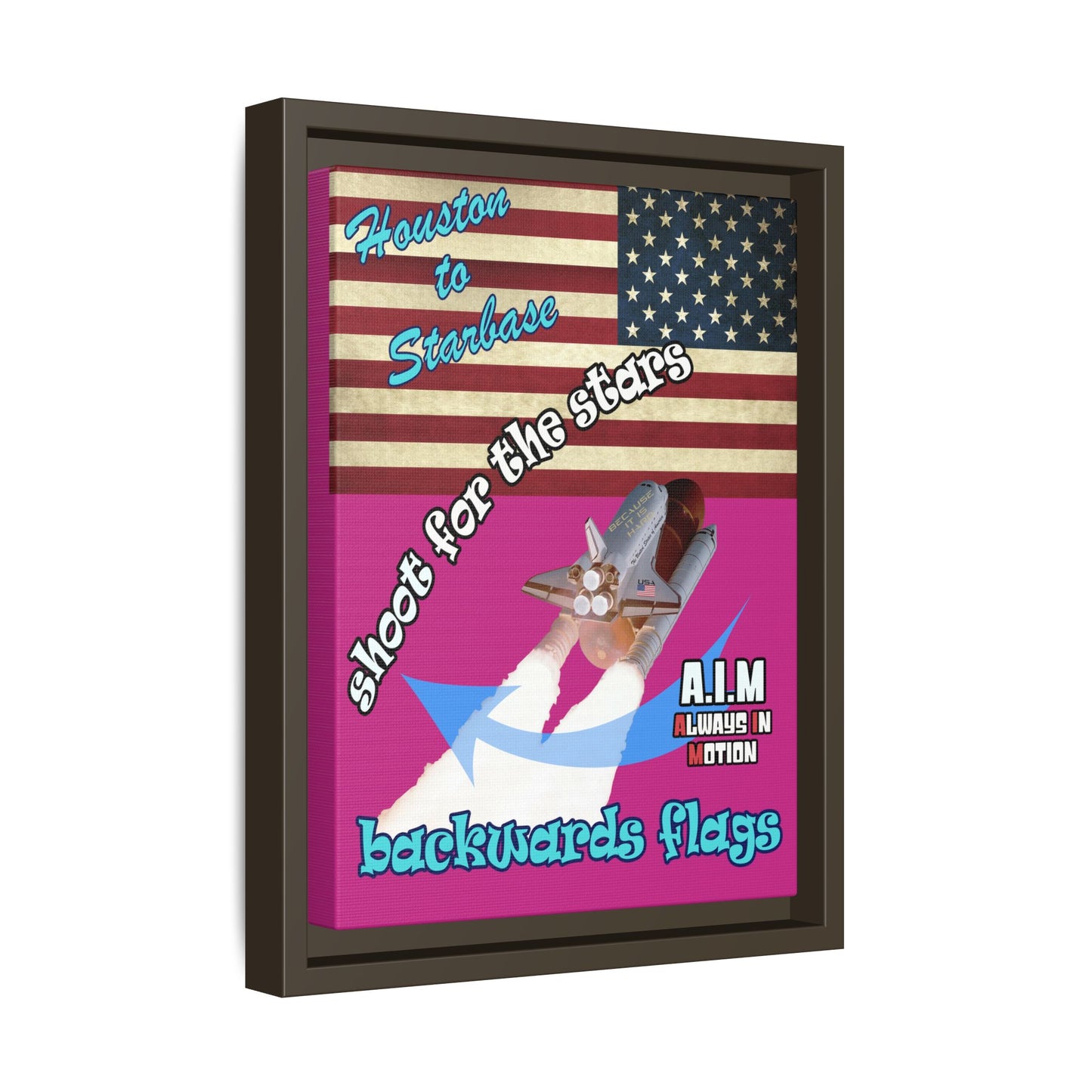 shoot for the stars - framed canvas art (pink)