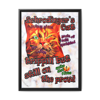 schrodinger's cat - framed canvas art (white marble)