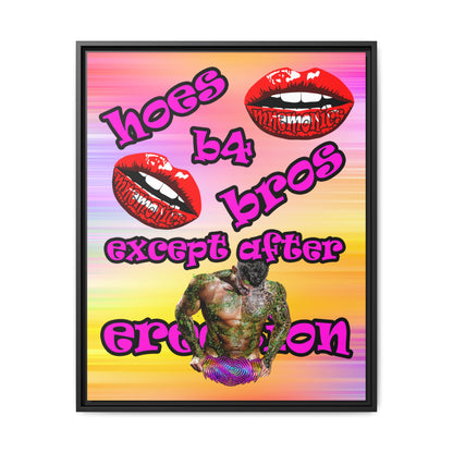 hoes b4 bros - framed canvas art (color blur)