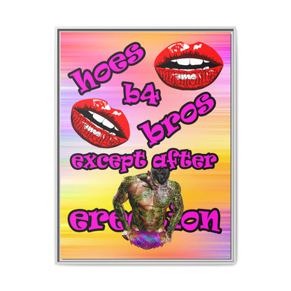 hoes b4 bros - framed canvas art (color blur)