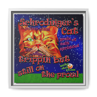 schrodinger's cat - framed canvas art ('snoops' background)