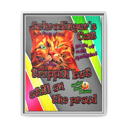 schrodinger's cat - framed canvas art (rainbow split)