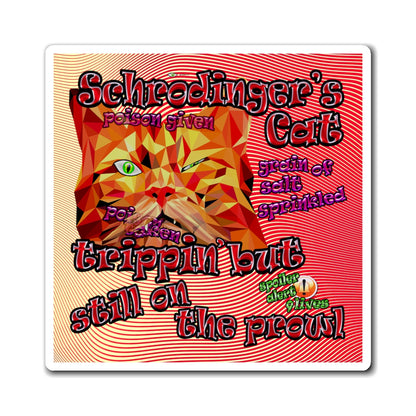 schrodinger's cat - Magnets - (yellow-orange wave)