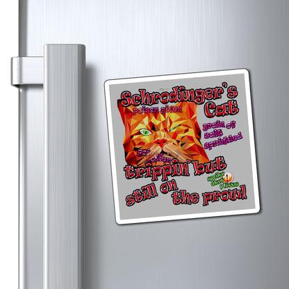 schrodinger's cat - Magnets - (light grey)