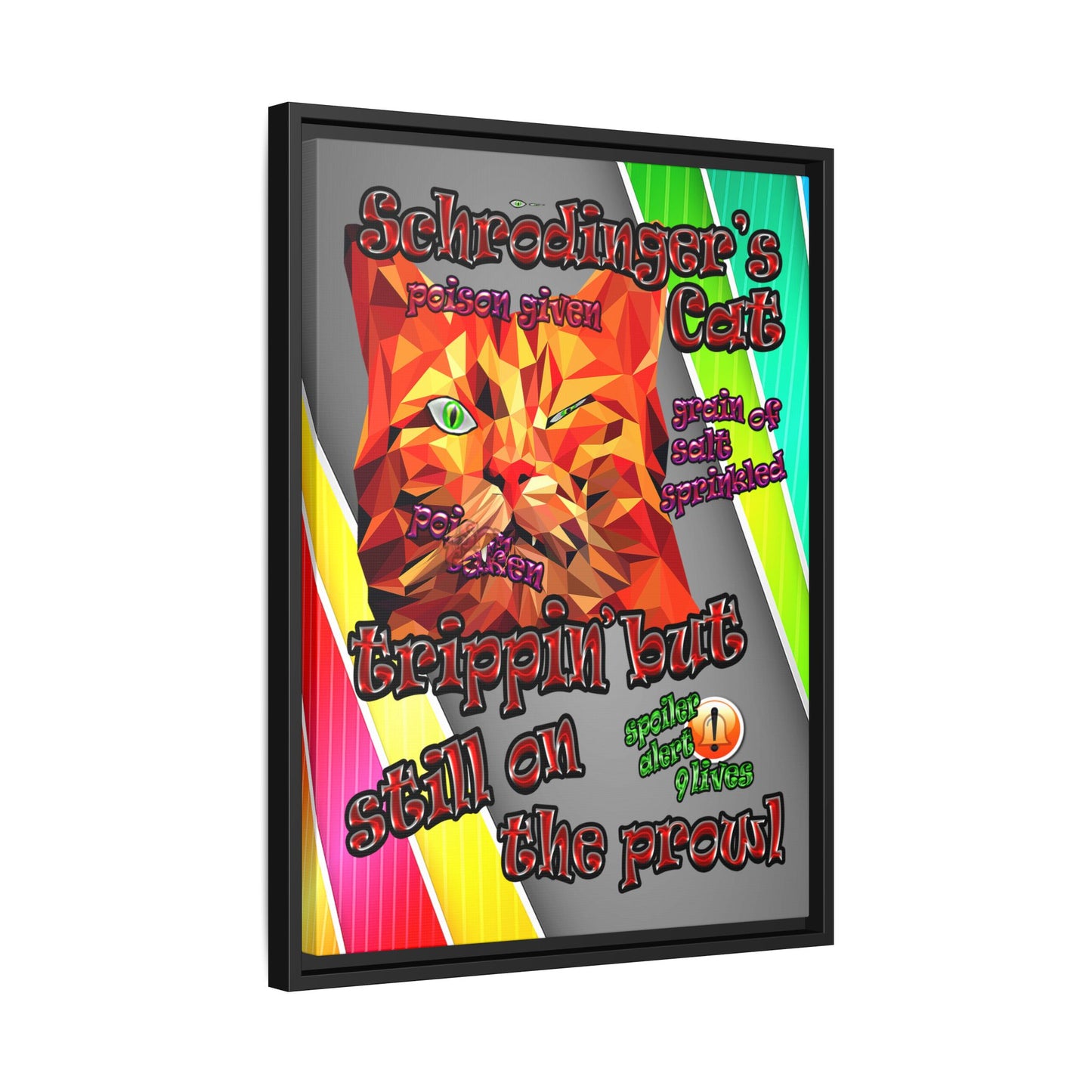 schrodinger's cat - framed canvas art (rainbow split)