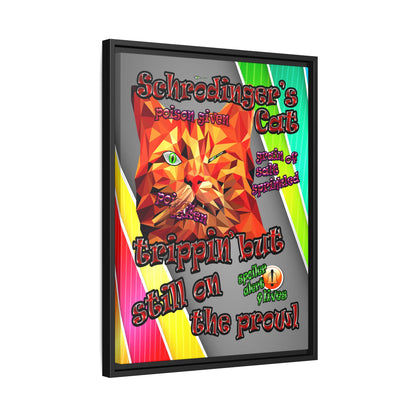 schrodinger's cat - framed canvas art (rainbow split)