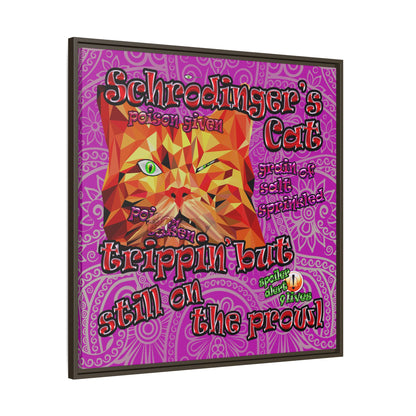 schrodinger's cat - framed canvas art (pink swirl)