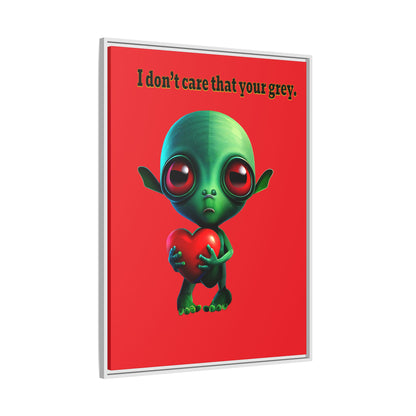 I don't care that your grey - framed canvas art (red)