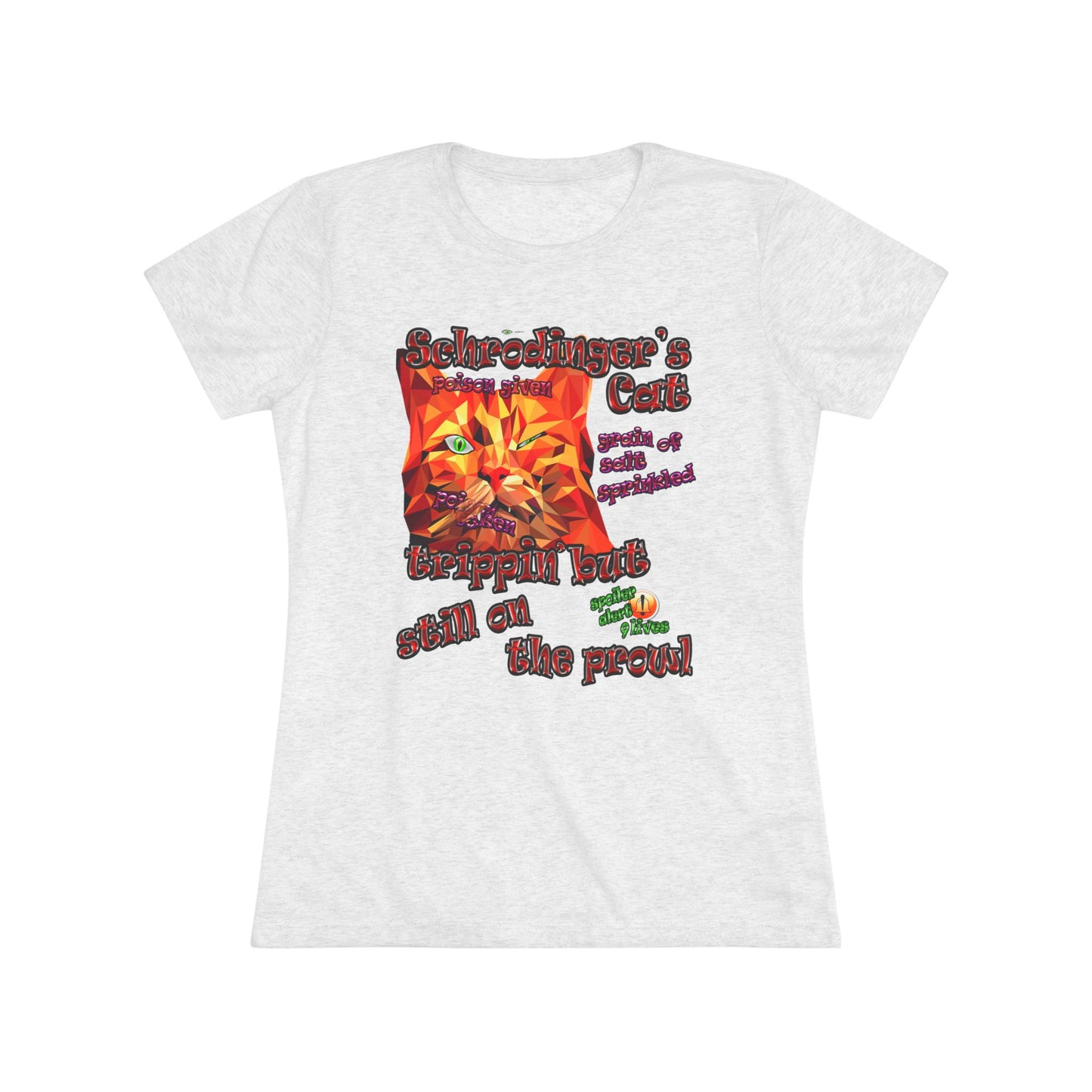 schrodinger's cat - Women's Triblend Tee