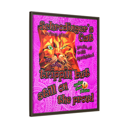 schrodinger's cat - framed canvas art (pink swirl)