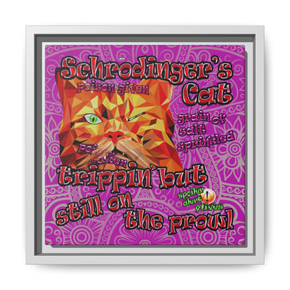 schrodinger's cat - framed canvas art (pink swirl)