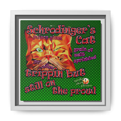 schrodinger's cat - framed canvas art (logo green)
