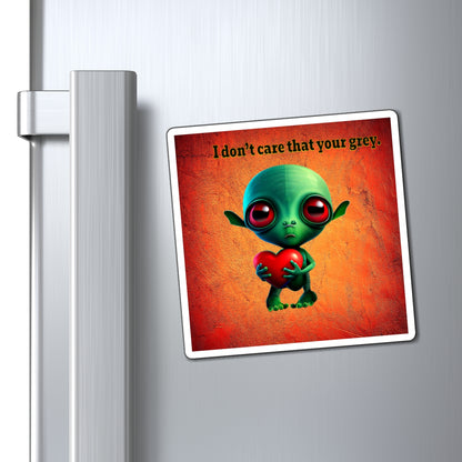 I don't care that your grey - Magnets - (burnt orange)