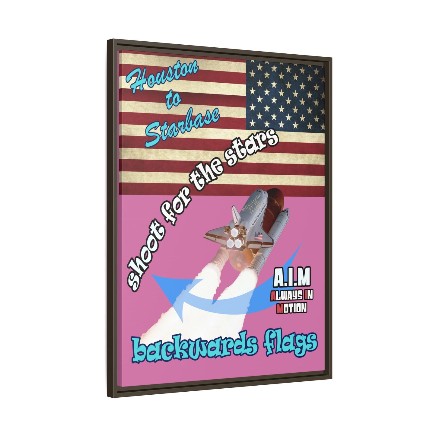 shoot for the stars - framed canvas art (light pink)