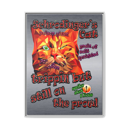 schrodinger's cat - framed canvas art (brushed nickel)