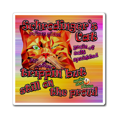 schrodinger's cat - Magnets - (color blur)