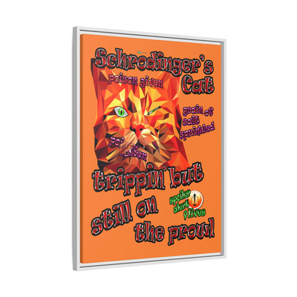 schrodinger's cat - framed canvas art (crusta)