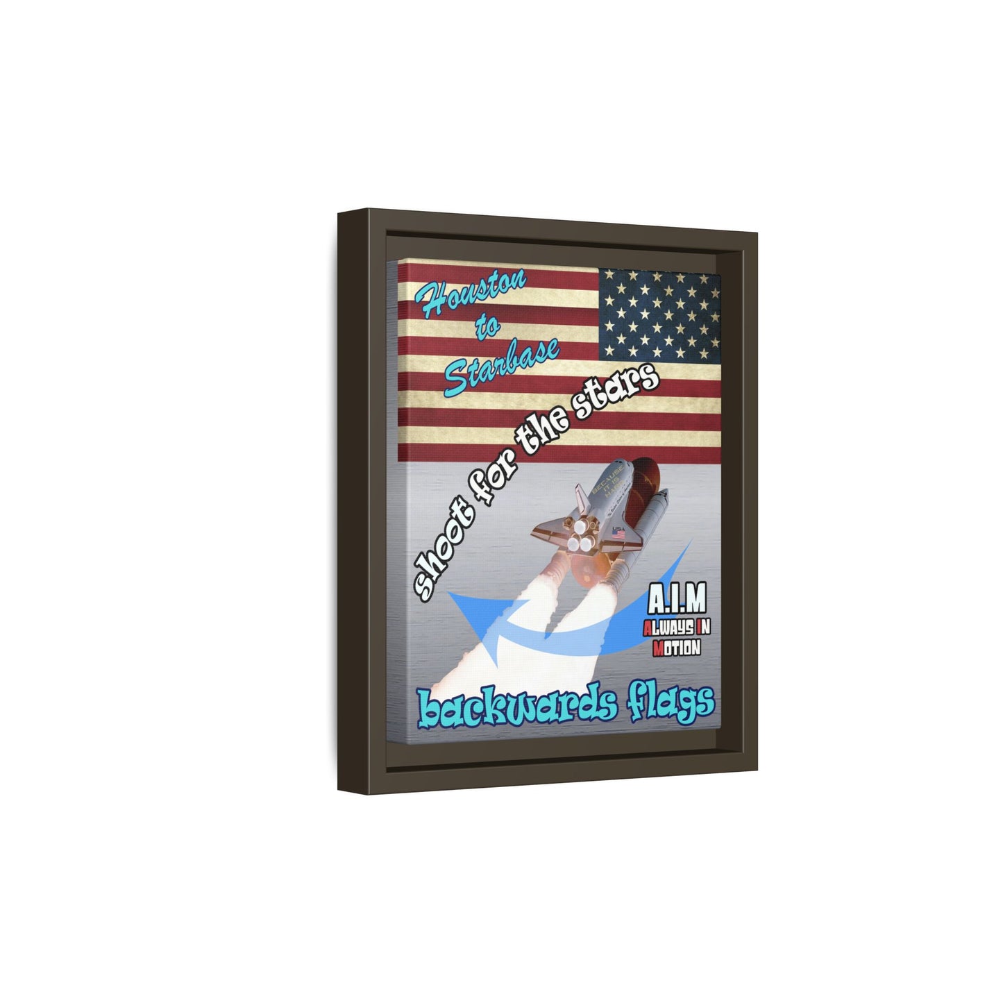 shoot for the stars - framed canvas art (brushed nickel)