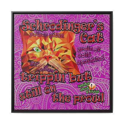schrodinger's cat - framed canvas art (pink swirl)
