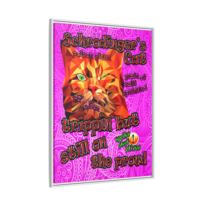 schrodinger's cat - framed canvas art (pink swirl)