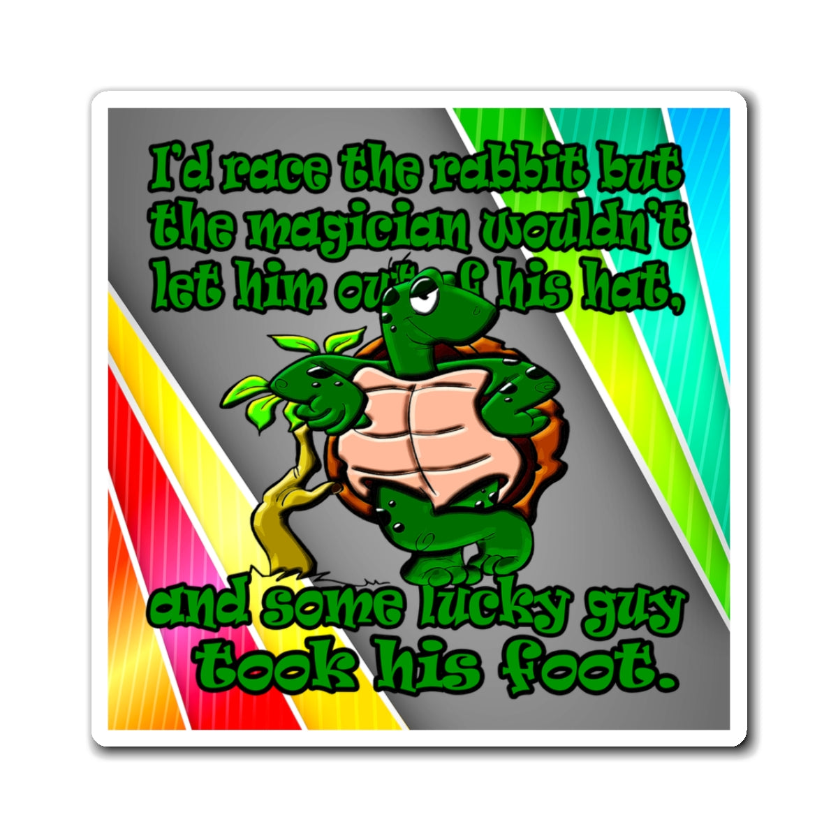 turtle race - Magnets - (rainbow split)