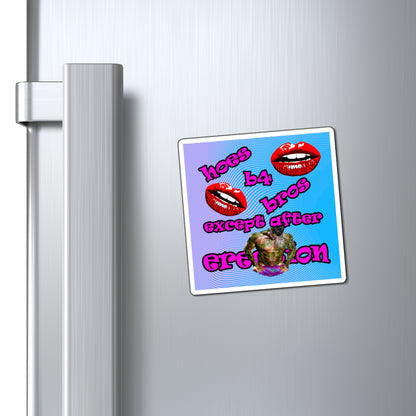 hoes b4 bros - Magnets - (light blue-purple wave)