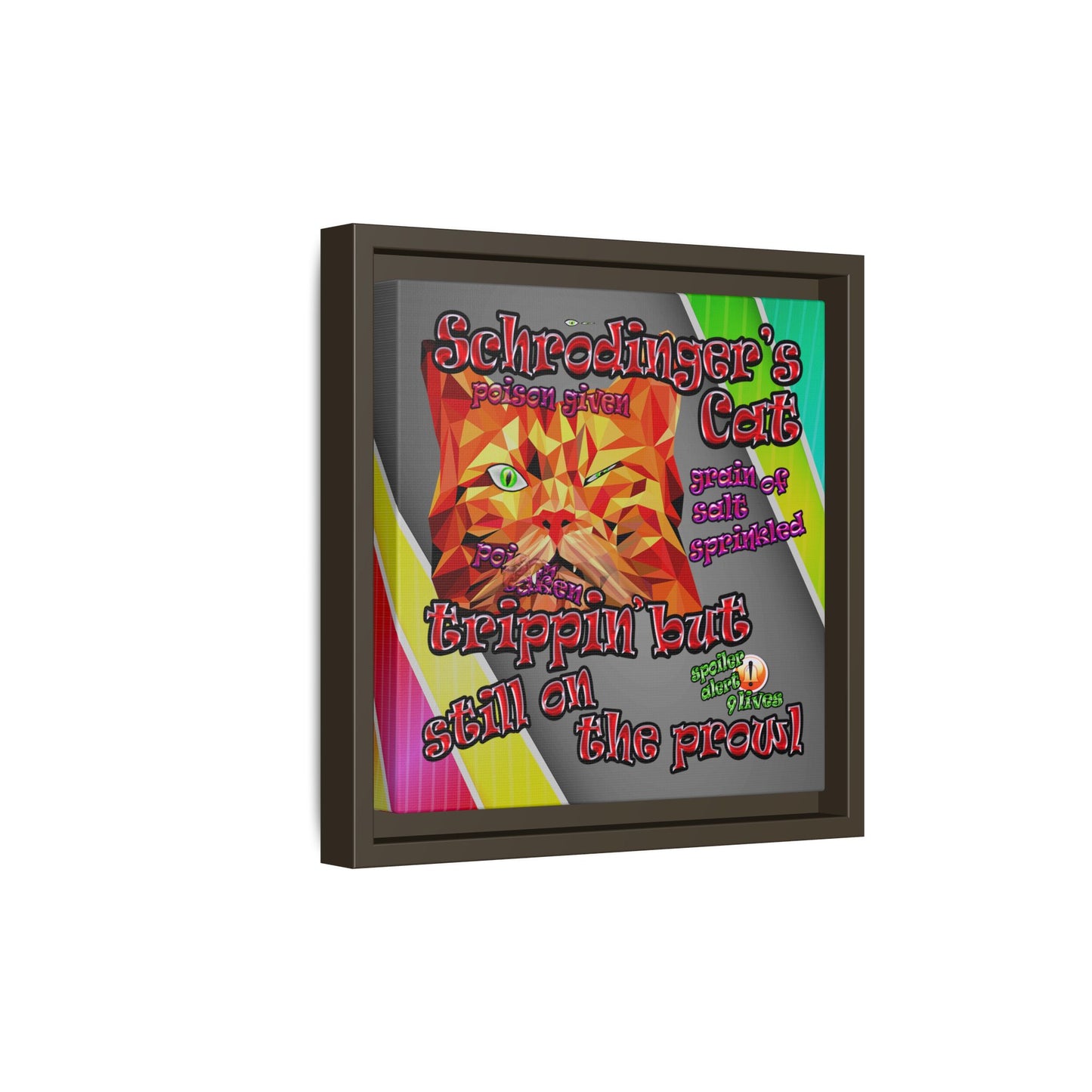 schrodinger's cat - framed canvas art (rainbow split)