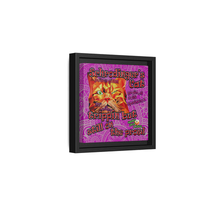 schrodinger's cat - framed canvas art (pink swirl)