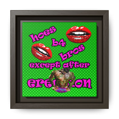 hoes b4 bros - framed canvas art (logo green)