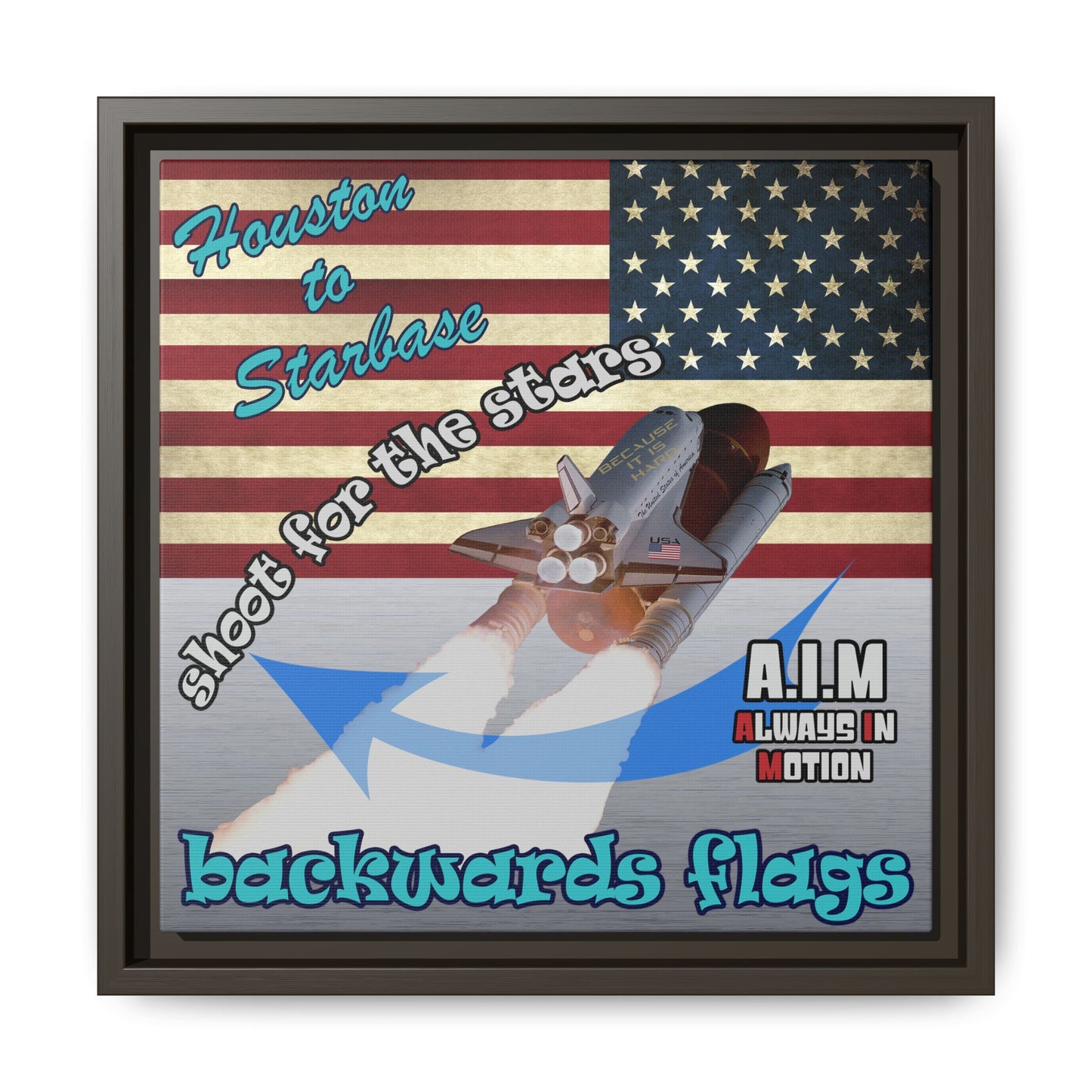 shoot for the stars - framed canvas art (brushed nickel)