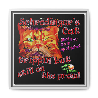 schrodinger's cat - framed canvas art (black)