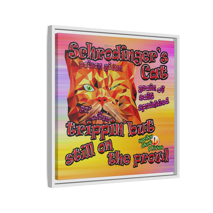 schrodinger's cat - framed canvas art (color blur)