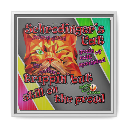 schrodinger's cat - framed canvas art (rainbow split)