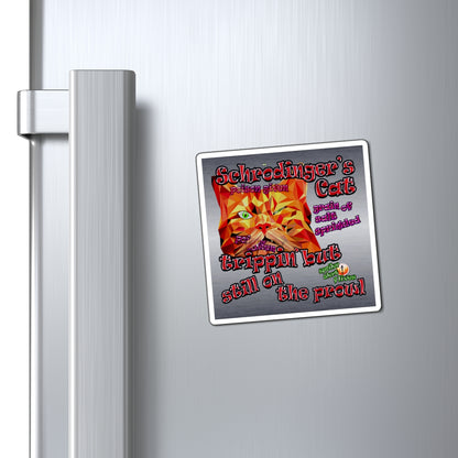 schrodinger's cat - Magnets - (brushed nickel)