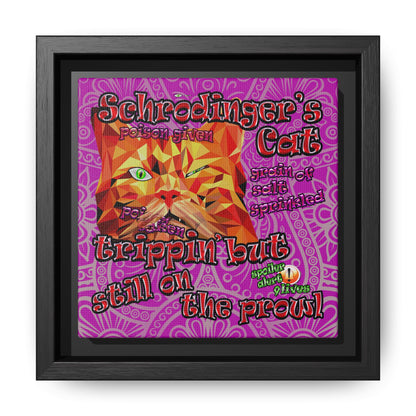 schrodinger's cat - framed canvas art (pink swirl)