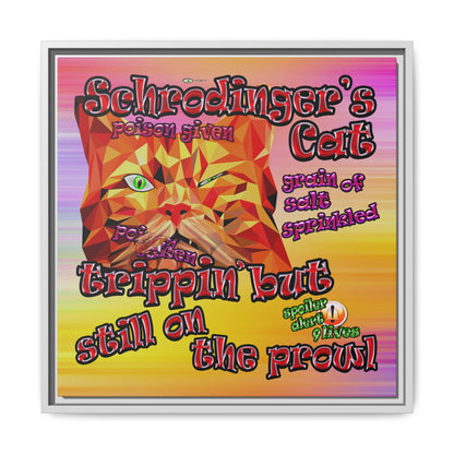 schrodinger's cat - framed canvas art (color blur)