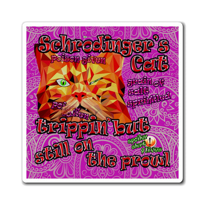 schrodinger's cat - Magnets - (pink swirl)