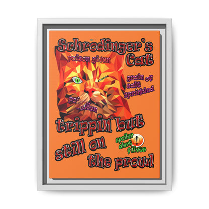 schrodinger's cat - framed canvas art (crusta)