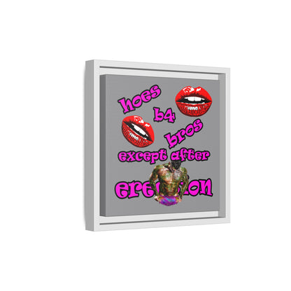 hoes b4 bros - framed canvas art (grey)