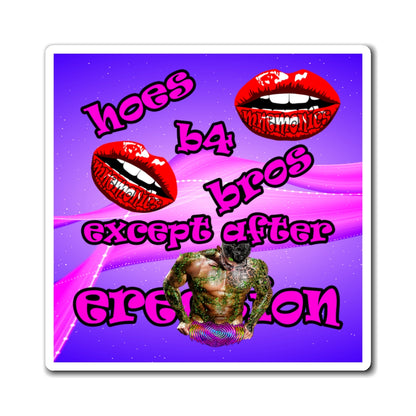 hoes b4 bros - Magnets - (purple-pink wave)