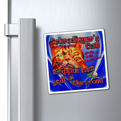 schrodinger's cat - Magnets - (blue-white wave)