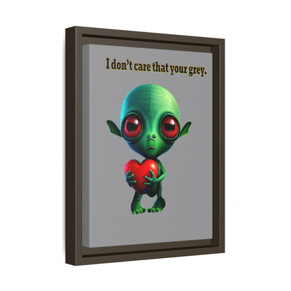 I don't care that your grey - framed canvas art (grey)