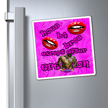 hoes b4 bros - Magnets - (pink swirl)