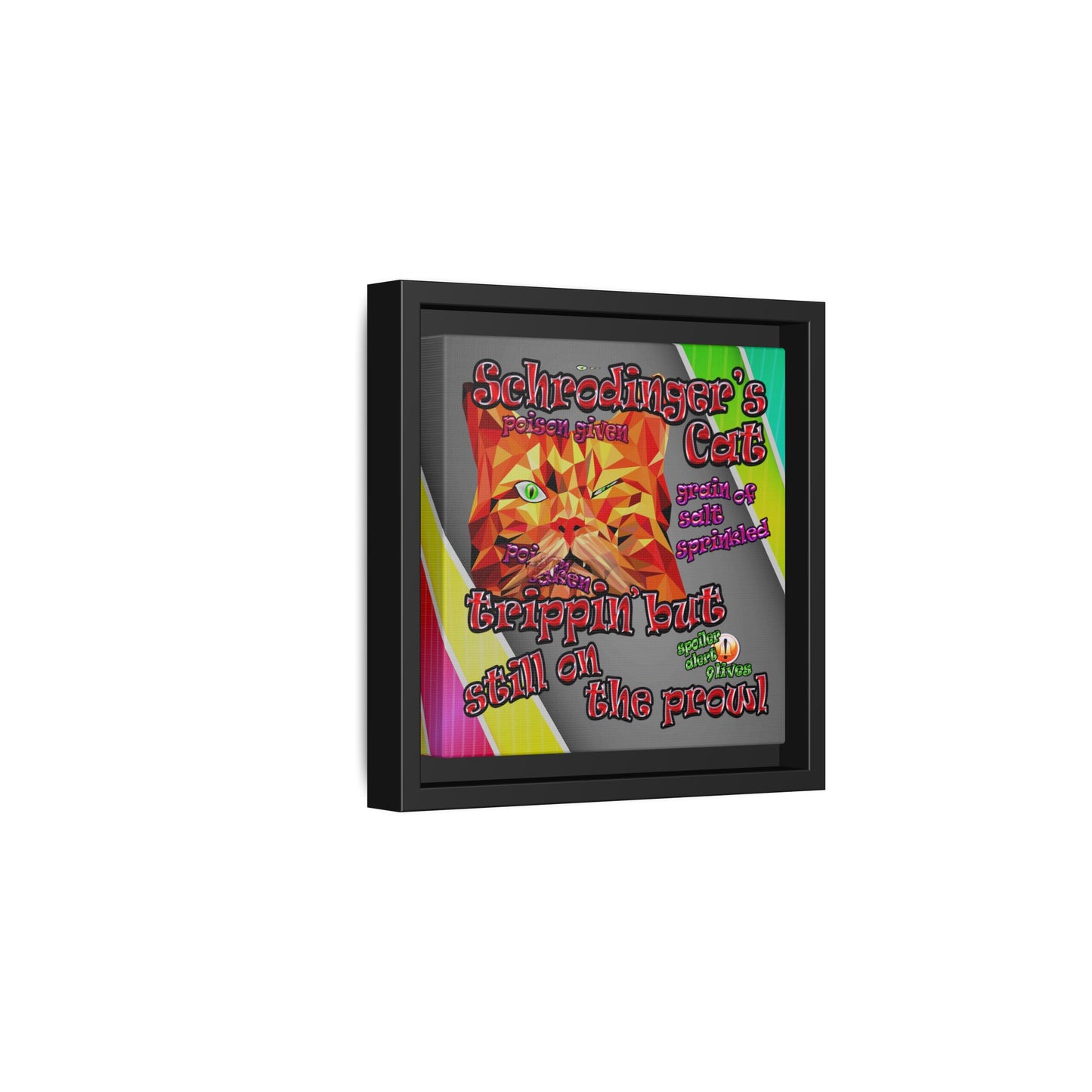 schrodinger's cat - framed canvas art (rainbow split)