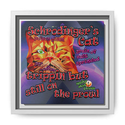 schrodinger's cat - framed canvas art (grey-pink wave)