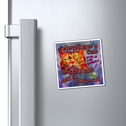 schrodinger's cat - Magnets - (grey-pink wave)