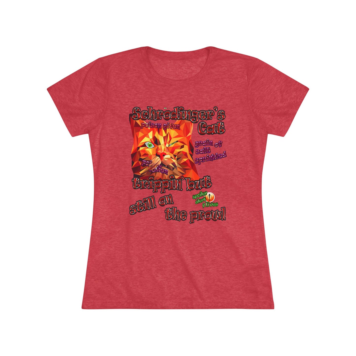 schrodinger's cat - Women's Triblend Tee