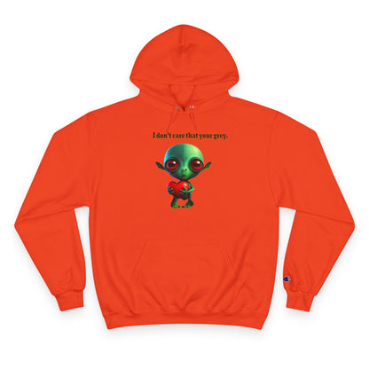 I don't care that your grey - Champion Hoodie