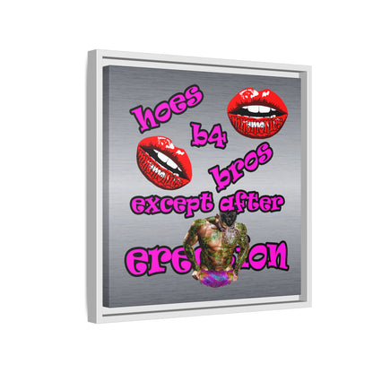 hoes b4 bros - framed canvas art (brushed nickel)