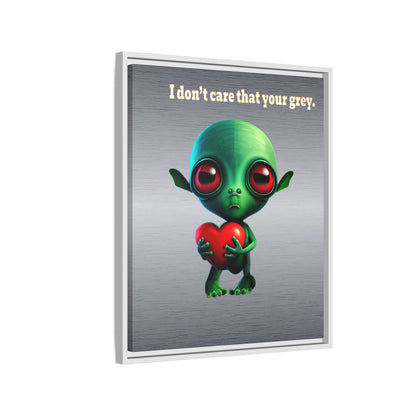 I don't care that your grey - framed canvas art (brushed nickel)